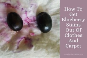 How To Get Blueberry Stains Out Of Clothes And Carpet? A Dependable Guide