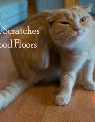 How to Fix Scratches on Hardwood Floors