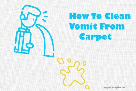 How To Clean Vomit From Carpet